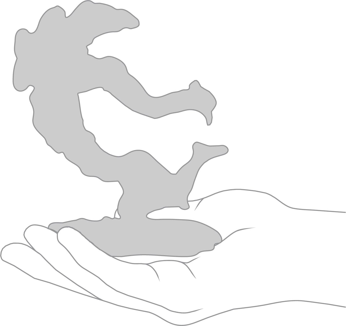 Product scale