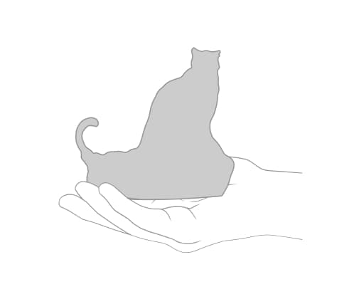 Product scale