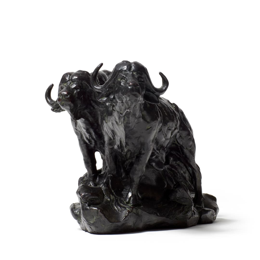Buffalo Bull Pair Miniature S398